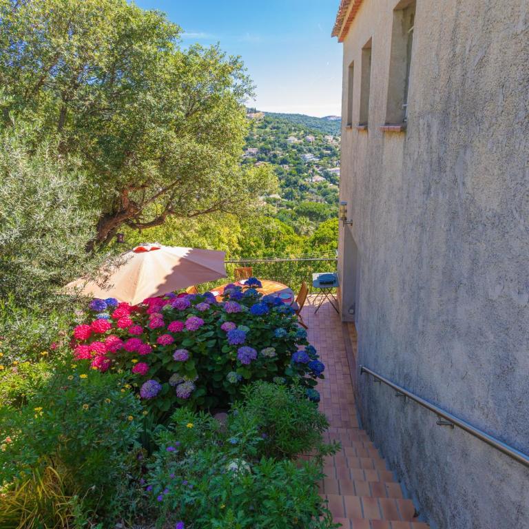 Vue mer dans les collines Cavalaire - Studio Apartment with Sea View - 18