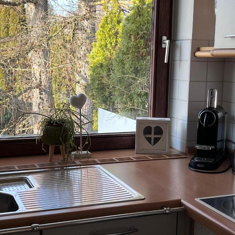 Lichtdurchflutete Wohnung - Appartamento Deluxe con 2 Camere da Letto e Vista Giardino - 15