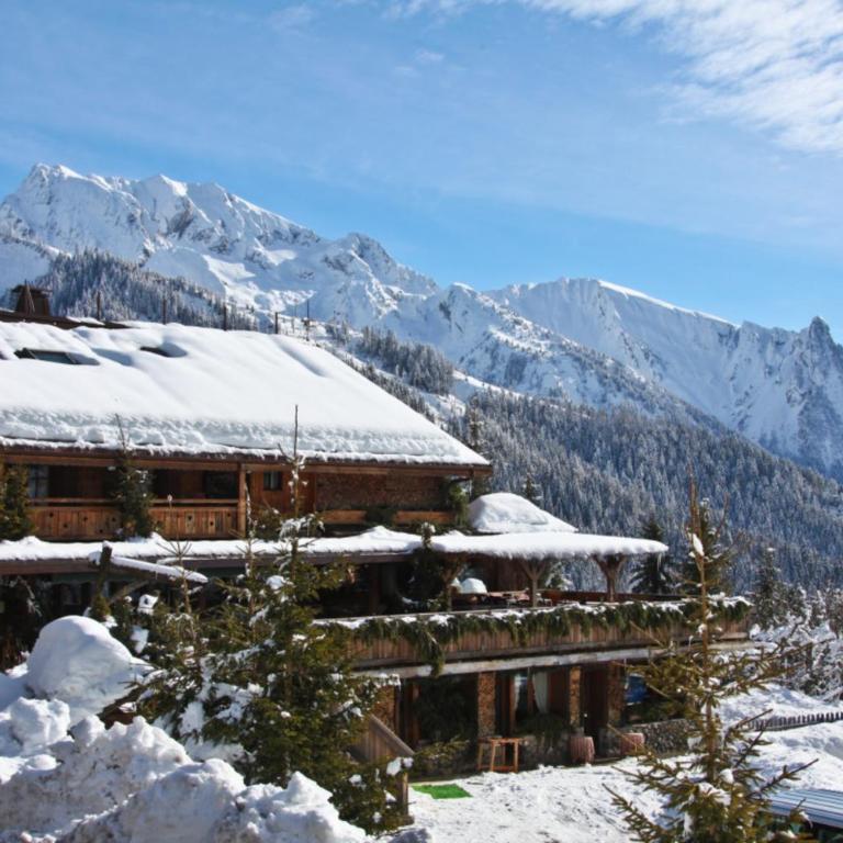 Chalet Pesse - Chalet 2 Chambres - 13