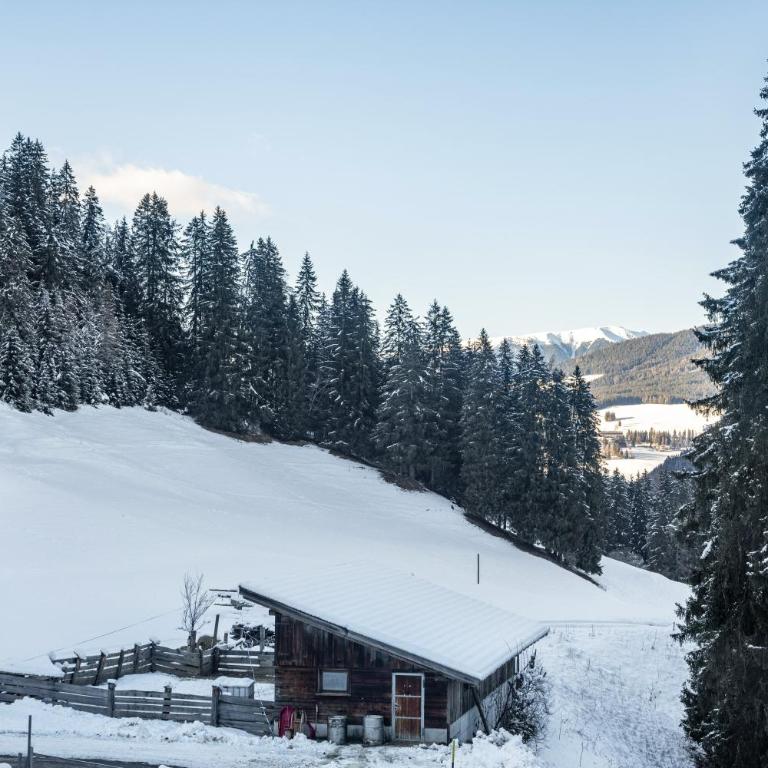 Lechnerhof Apt 1 - Apartamento Superior de 1 dormitorio con balcón - 25