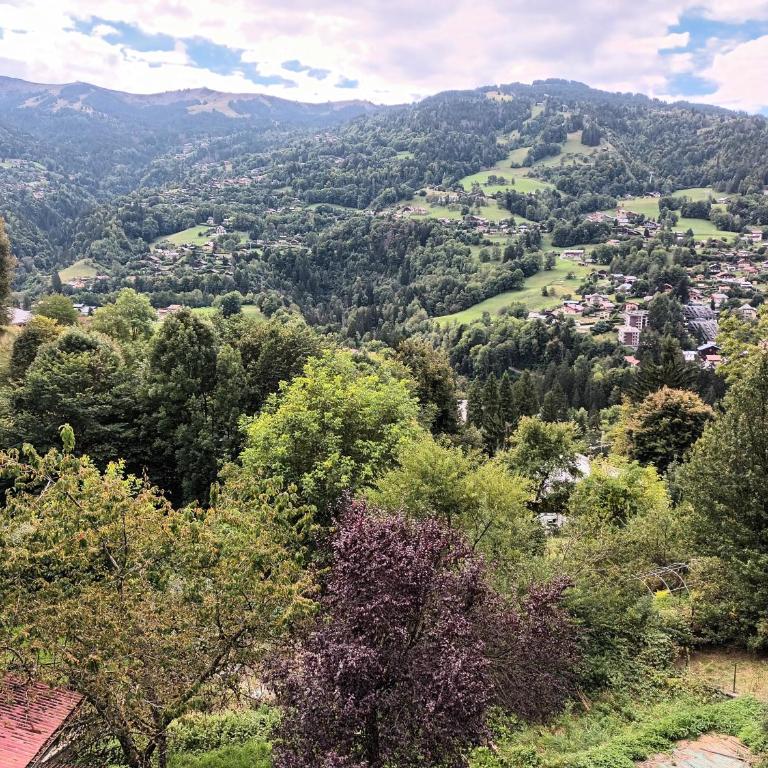 L'alpette - Apartment mit 2 Schlafzimmern und Bergblick - 21