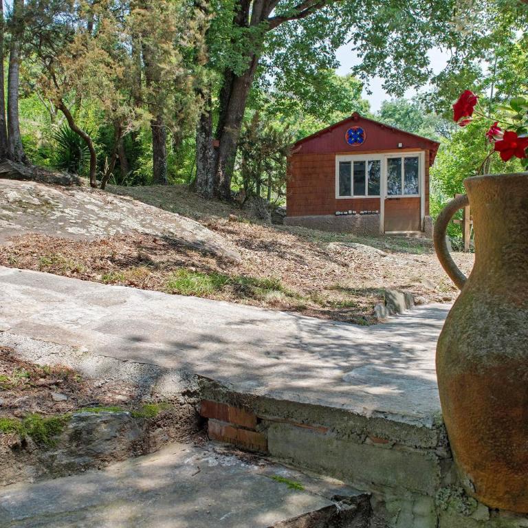 La Liguria tra gli Ulivi 2 - One-Bedroom Apartment with Garden View - 25