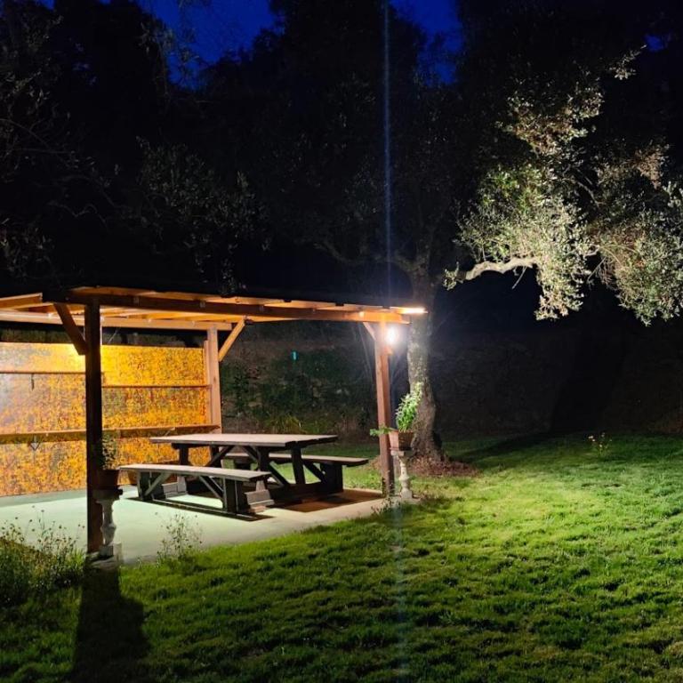 La Liguria tra gli Ulivi 2 - One-Bedroom Apartment with Garden View - 17
