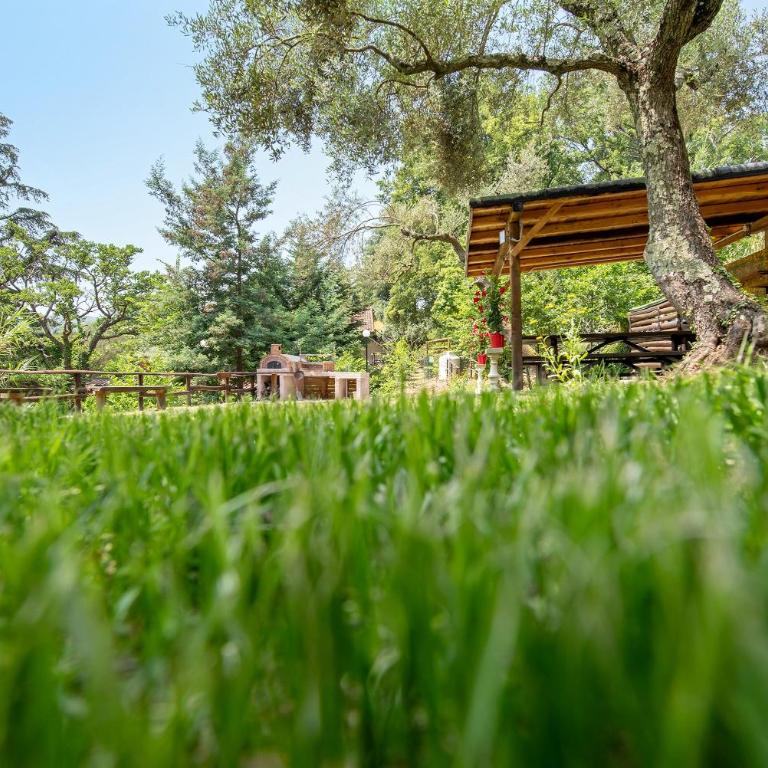 La Liguria tra gli Ulivi 2 - One-Bedroom Apartment with Garden View - 21