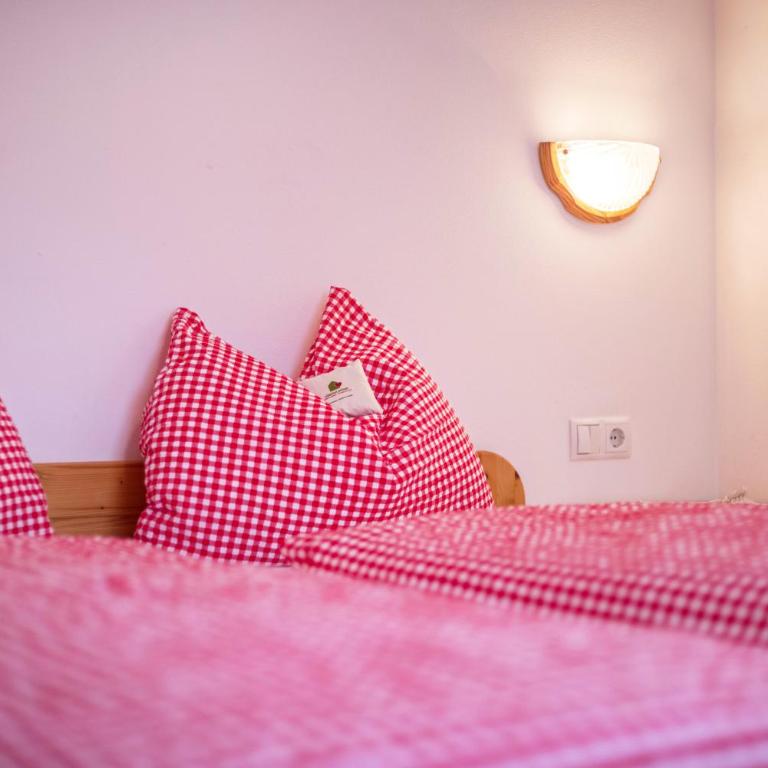 Ciasa Tlara App Lisa - Appartamento con 1 Camera da Letto e Vista Giardino - 11