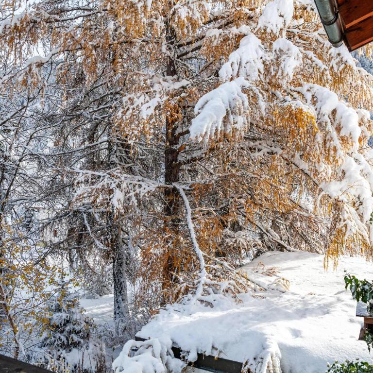 Chalet Flocke Sternschnuppe - Superior Apartment mit Sauna - 37