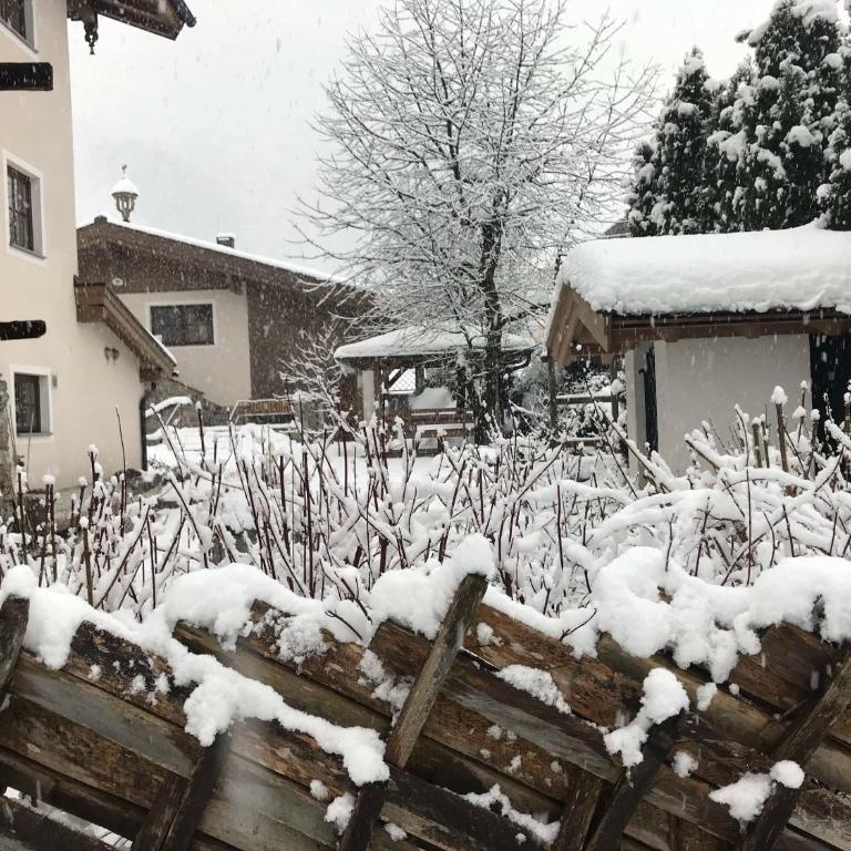 Geigerhaus 500 Jahre - Appt C - Premium Apartment mit 3 Schlafzimmern und Balkon - 5