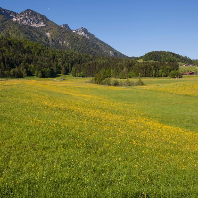 Ferienwohnung Panorama Eg - Deluxe-Apartment mit 2 Schlafzimmern und Gartenblick - 29