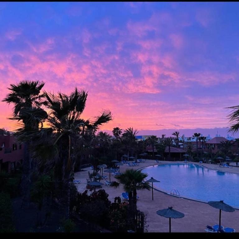 Fuerteventura Apartments Herbania - Apartamento de 1 dormitorio con vistas al jardín - 26
