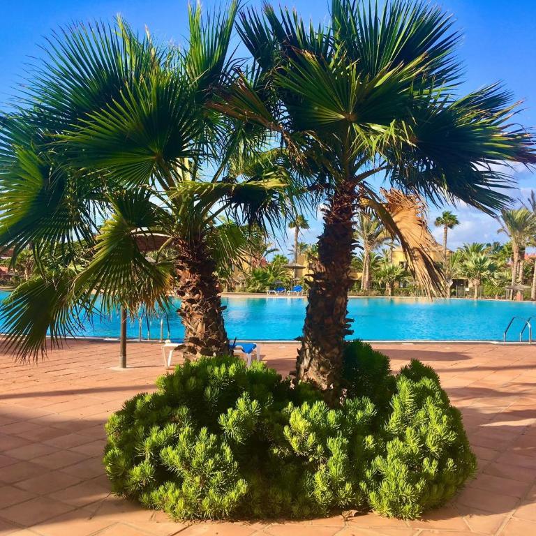 Fuerteventura Apartments Herbania - Apartamento de 1 dormitorio con vistas al jardín - 1
