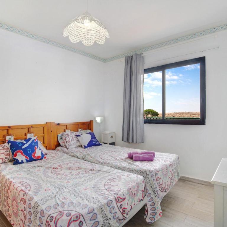 Dunes to explore and relax Wifi - Apartamento con terraza - 12