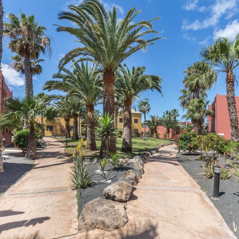 Fuerteventura Apartments Herbania - Apartamento de 1 dormitorio con vistas al jardín - 21