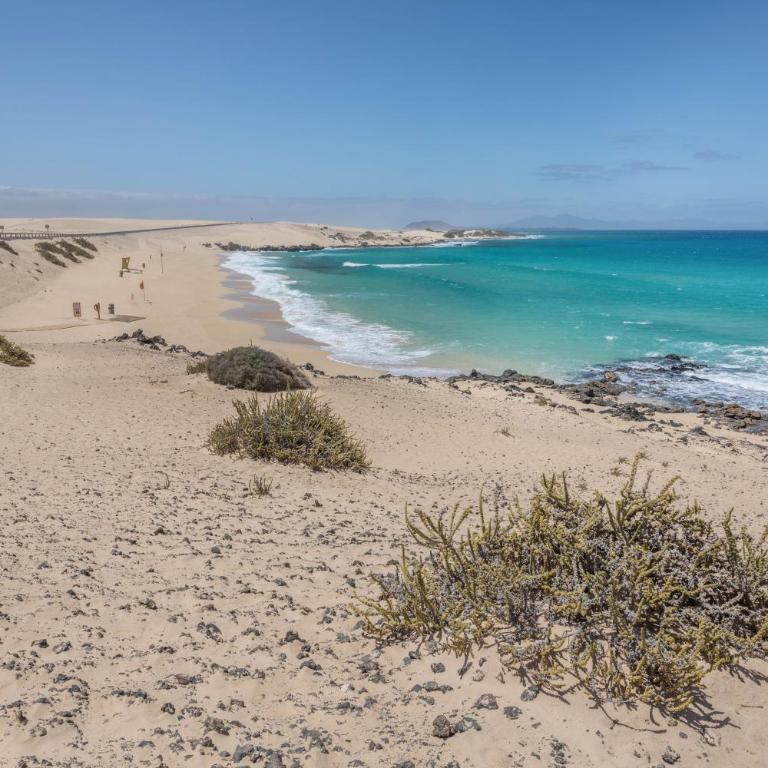 Fuerteventura Apartments Herbania - Apartamento de 1 dormitorio con vistas al jardín - 22