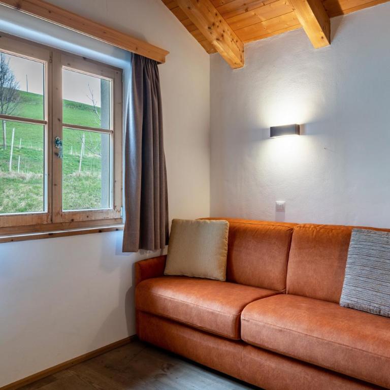 Biohof Maurer Apt Bergblick - Appartamento Superior con 1 Camera da Letto e Balcone - 14