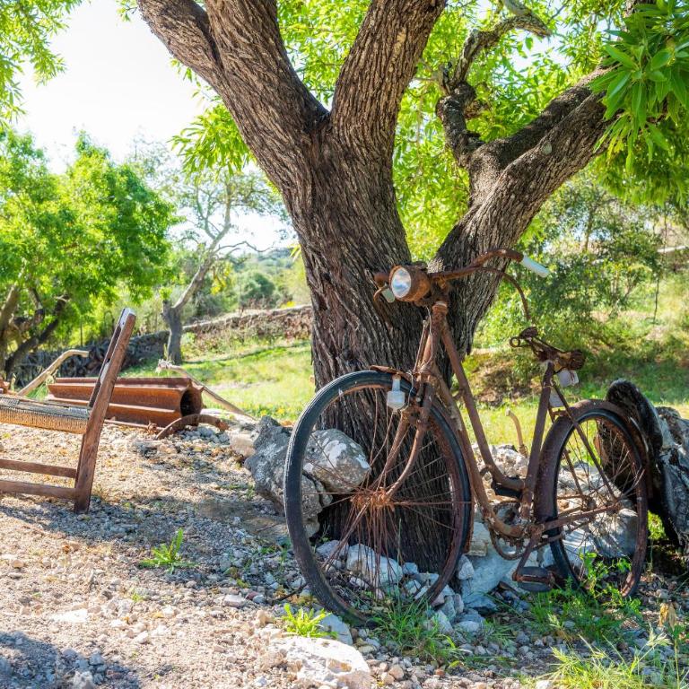S' Oratge - Villa con vistas al jardín - 22