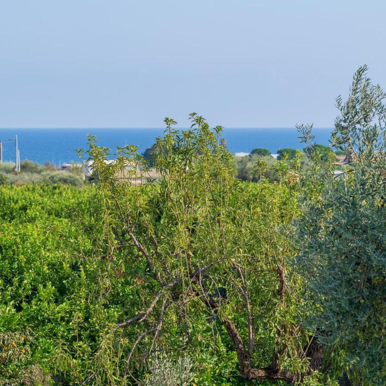 Cascina di Barone - Vista mare - Appartamento Superior con 1 Camera da Letto e Balcone - 23