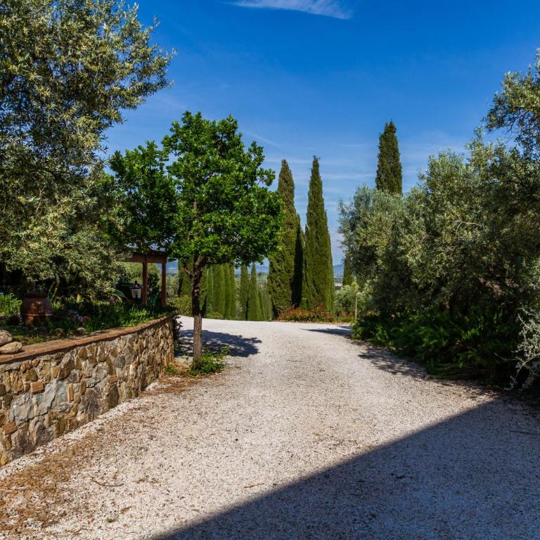 Villa Bouganville - Colleberto - Villa with Sea View - 34