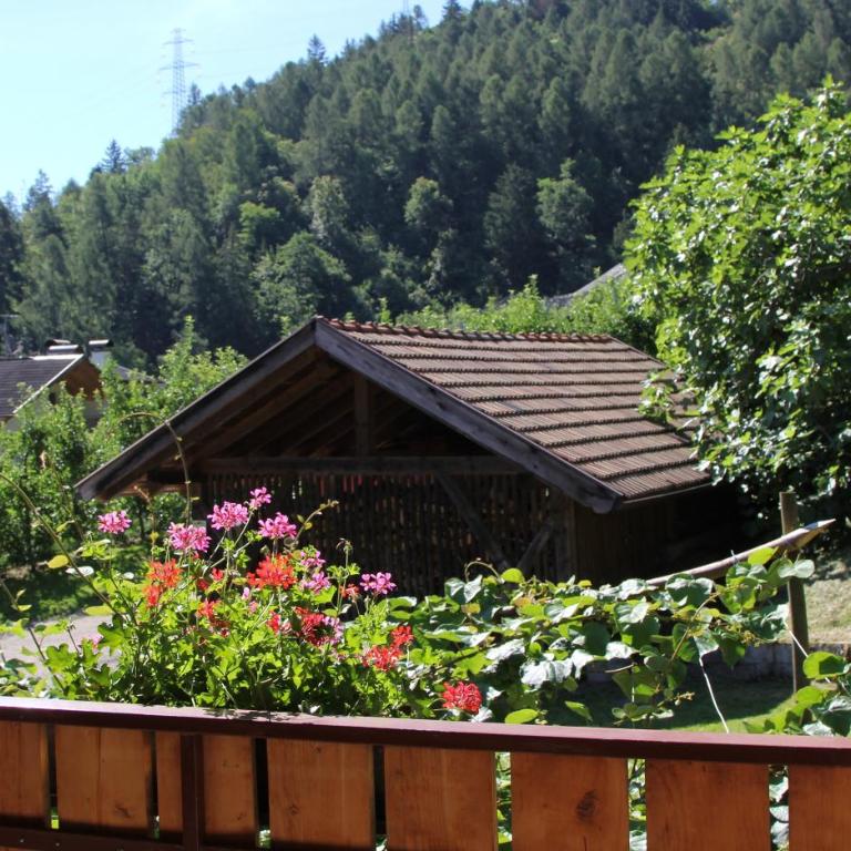 Apartment Ida - Obermösslhof - One-Bedroom Apartment with Garden - 19