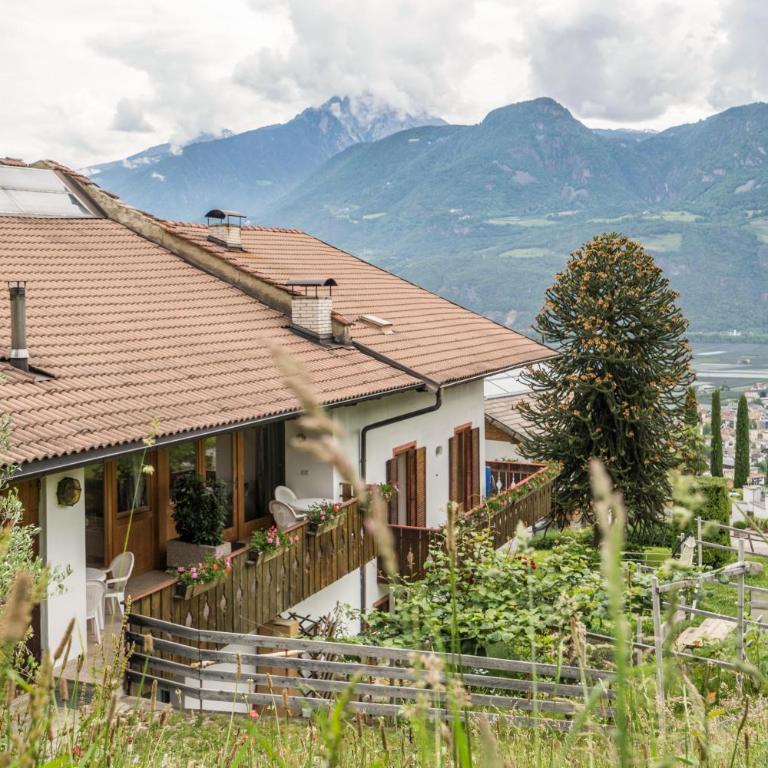 Apartment Ida - Obermösslhof - One-Bedroom Apartment with Garden - 12