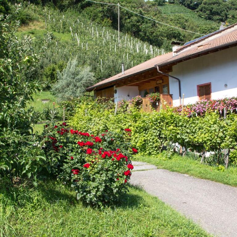 Apartment Ida - Obermösslhof - One-Bedroom Apartment with Garden - 20
