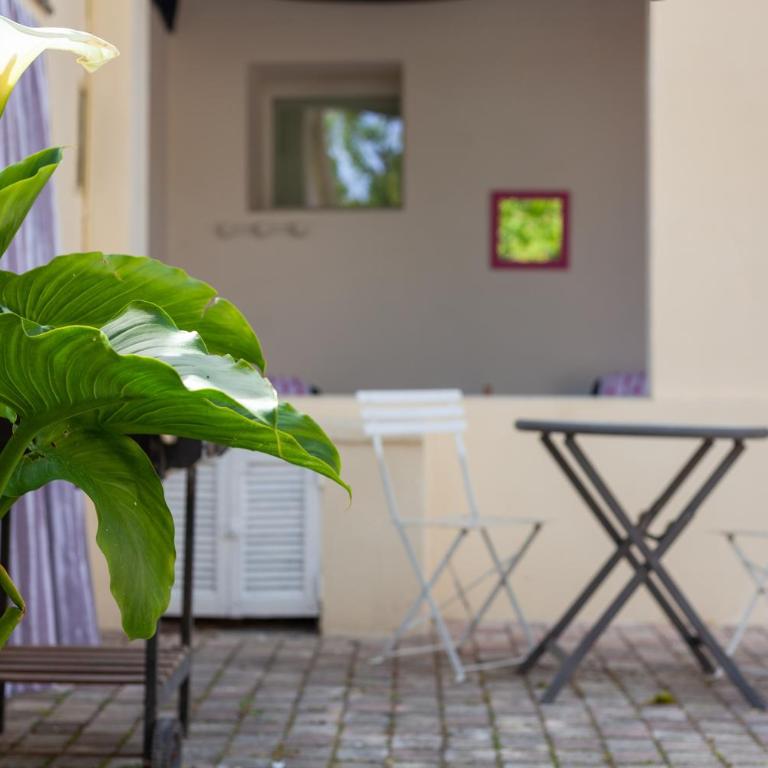 Love Room avec Balnéo - Studio mit Terrasse - 19