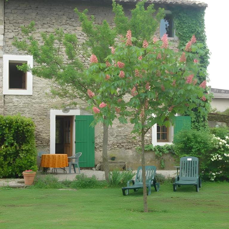 La Truite - Appartement 1 Chambre - Vue sur Jardin - 11