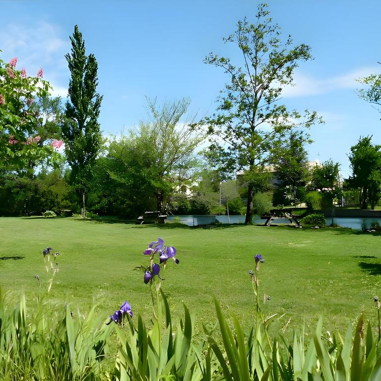 La Truite - Appartement 1 Chambre - Vue sur Jardin - 9