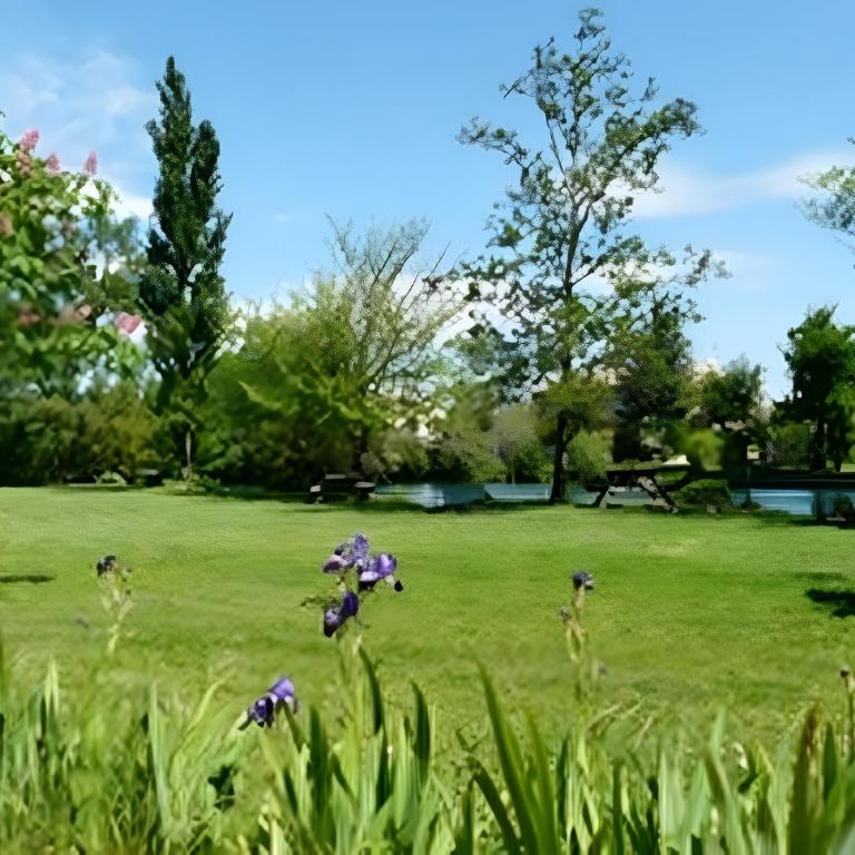 La Truite - Appartement 1 Chambre - Vue sur Jardin - 12