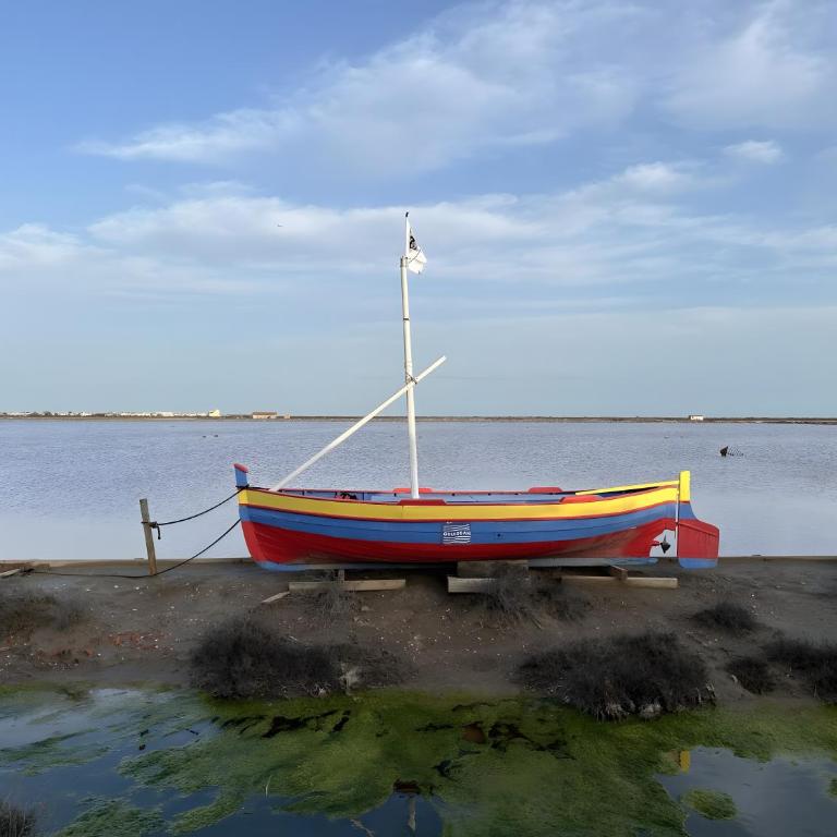Bel Appartement Dans Résidence - Apartment mit 1 Schlafzimmer und Gartenblick - 20