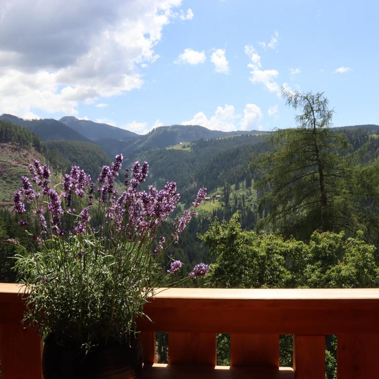 Ferienwohnung Lavendel Thalerhof - Appartamento Superior con 1 Camera da Letto e Balcone - 34