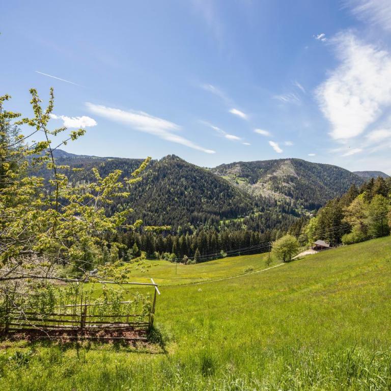 Ferienwohnung Lavendel Thalerhof - Appartamento Superior con 1 Camera da Letto e Balcone - 31