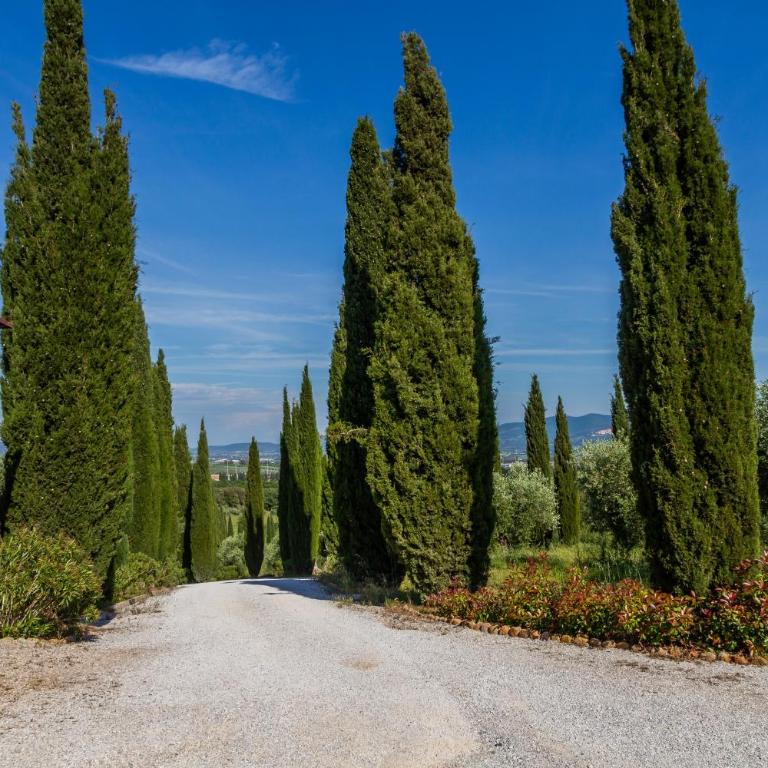Villa Glicine - Colleberto - Appartamento Premium con 3 Camere da Letto e Balcone - 32