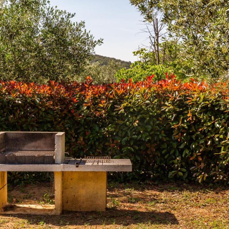 Villa Glicine - Colleberto - Appartamento Premium con 3 Camere da Letto e Balcone - 28
