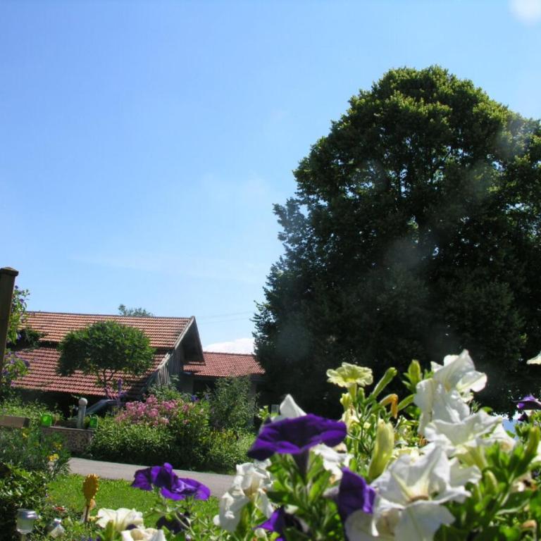 Ferienwohnungen Bergblick - Superior Apartment mit 1 Schlafzimmer und Balkon - 22