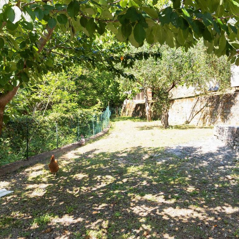 Casa Taggiasca - Villa con Vista Giardino - 30