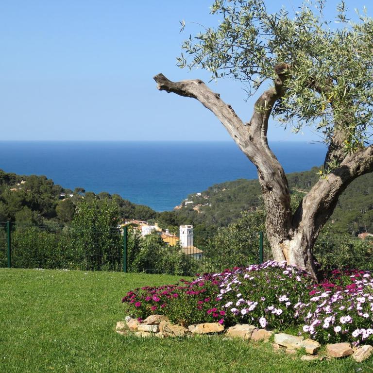 Villa Brun - Villa con vistas al mar - 23