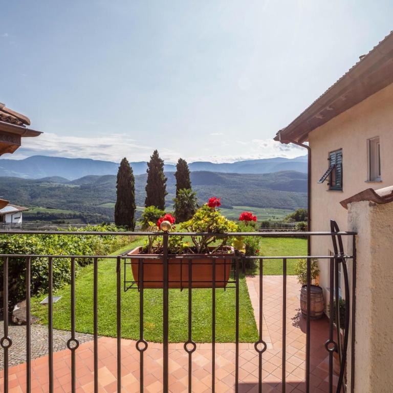 Weingut Lieselehof Apt Vitis - Monolocale con Terrazza - 5