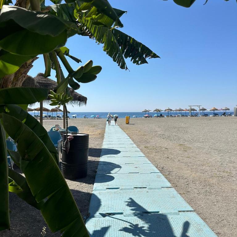 Lily - Apartamento de 3 dormitorios y vistas al mar - 35