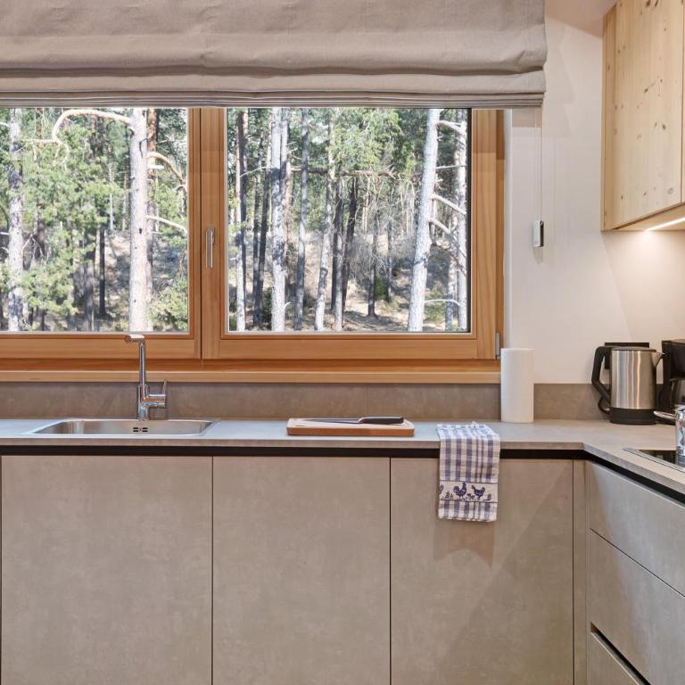 Les Ciases Chalets Dolomites Apt 5 - Appartamento Superior con 1 Camera da Letto e Balcone - 14