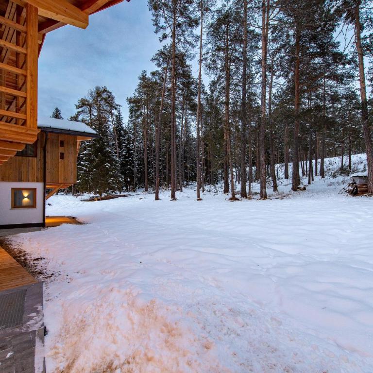 Les Ciases Chalets Dolomites Apt 5 - Appartamento Superior con 1 Camera da Letto e Balcone - 40