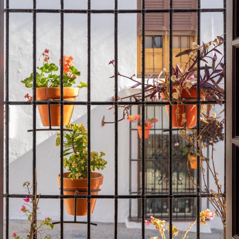 Casa Blanca - Casa de 3 dormitorios - 4