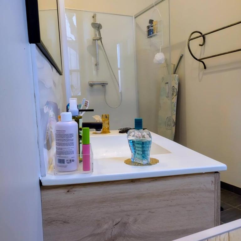 L'appart Millau Centre-Ville - Gite - Appartement avec Douche - 10