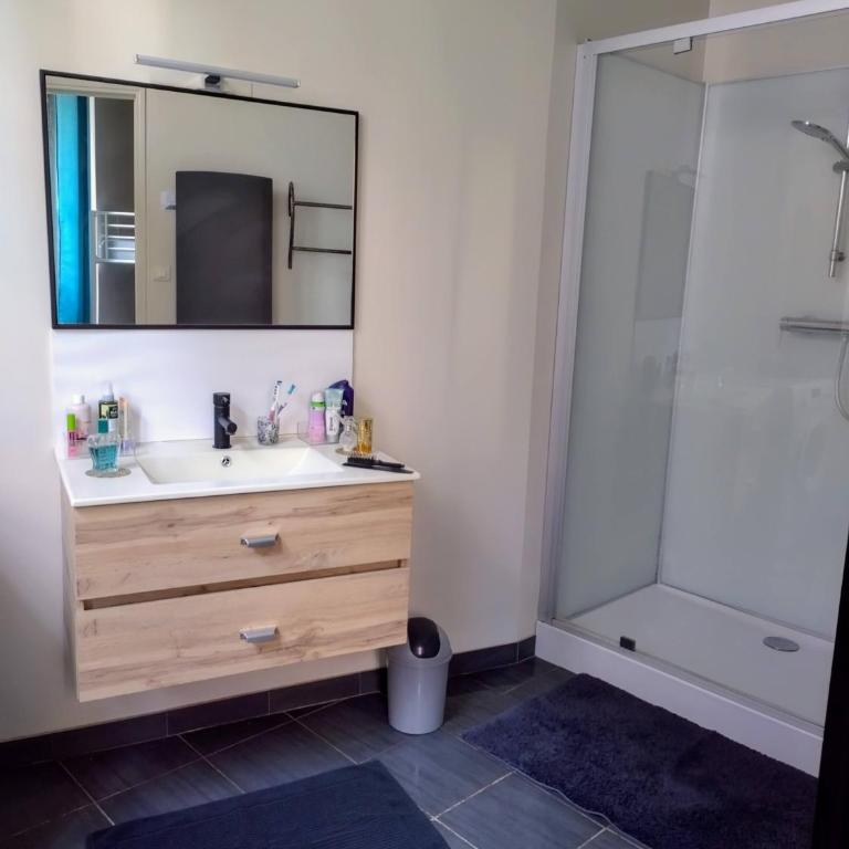 L'appart Millau Centre-Ville - Gite - Appartement avec Douche - 8