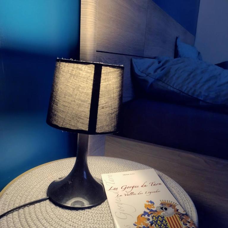 L'appart Millau Centre-Ville - Gite - Appartement avec Douche - 21