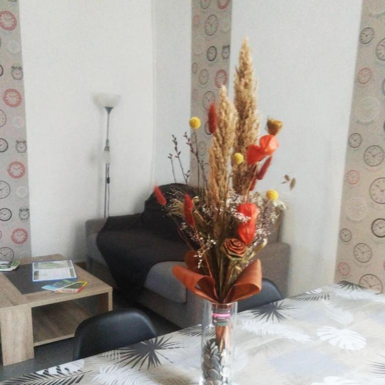 L'appart Millau Centre-Ville - Gite - Appartement avec Douche - 20