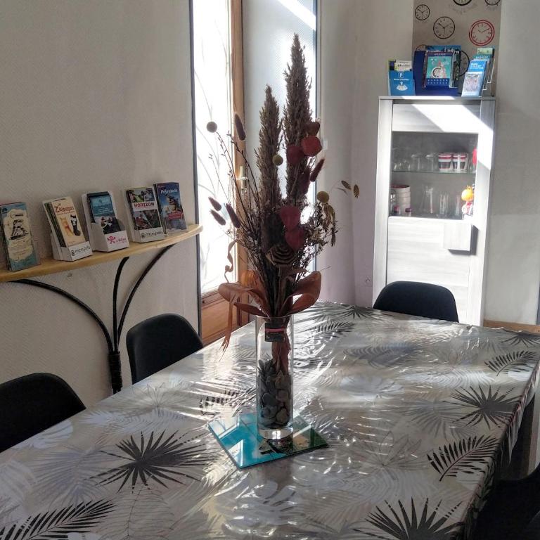 L'appart Millau Centre-Ville - Gite - Appartement avec Douche - 2