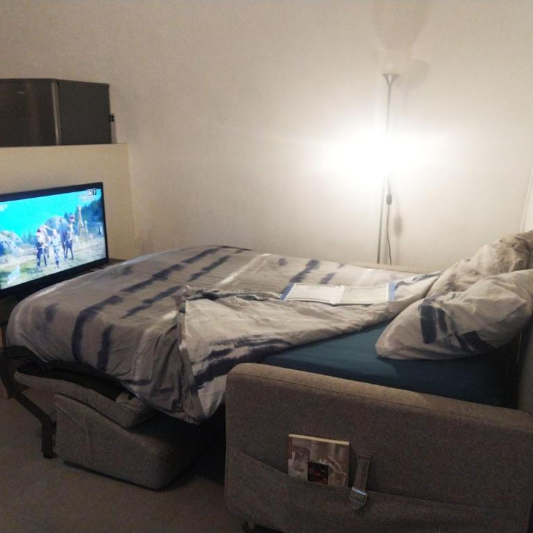 L'appart Millau Centre-Ville - Gite - Appartement avec Douche - 16