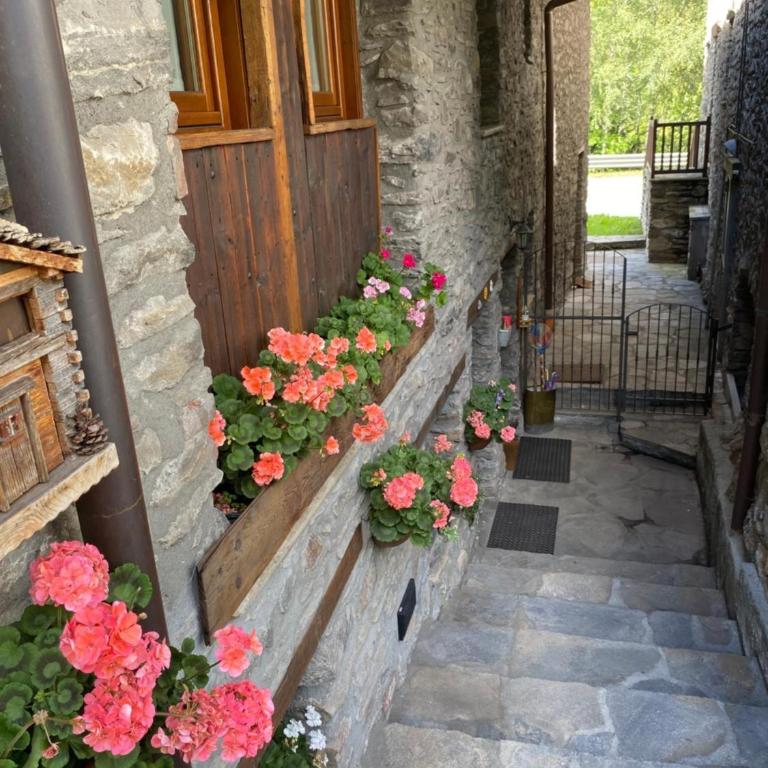 Maison Maribel - Appartamento con Terrazza - 4