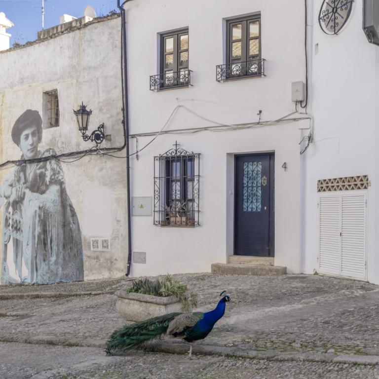 El encanto de Ronda - Casa de 2 dormitorios - 29