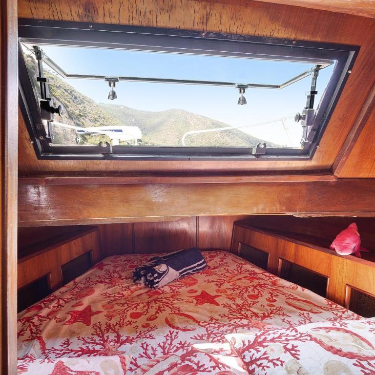 Aloha Jak's Boat - Appartamento Superior con 1 Camera da Letto e Balcone - 15